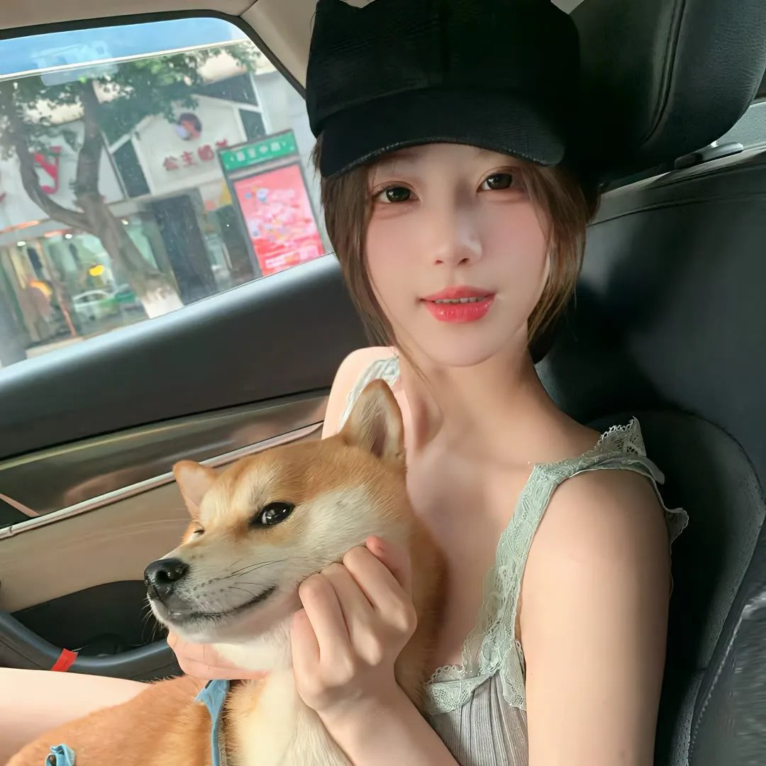 从前有个新凯旋门